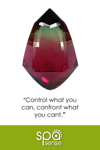 spa_sense_oct-fb_tip_pic